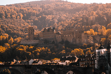 Fototapeta na wymiar Heidelberger Schloss im Herbstlaub