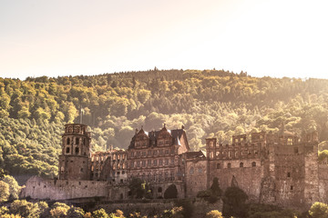 Fototapeta premium Heidelberger Schloss