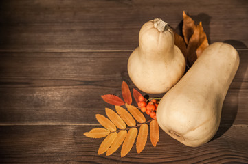 The concept of autumn. Pumpkins and leaves yellow on a wooden textural background. Copy space