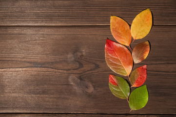 The concept of autumn. Yellow, green and red autumn leaves on a wooden textural background close-up and as a frame for text. Copy space