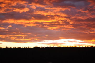 Good summer weather. Beautiful bright red sunset.