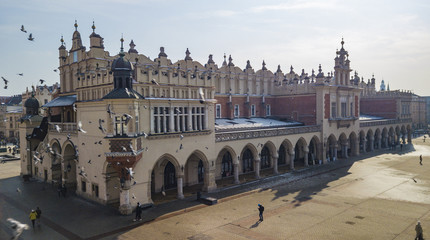 Obraz premium pigeons on the background of the Cloth Hall on the Krakow Market Square, Poland