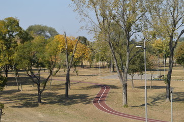 Park with walkway and track in Belgrade