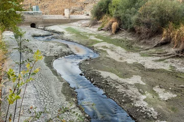 Foto op Plexiglas Een droge rivierbedding in een bos. Droogte in Río Eresma, Segovia. Spanje © pintxoman