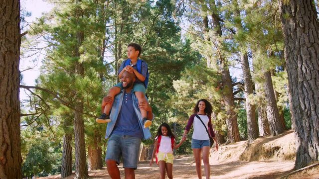 Family On Hiking Adventure Through Forest