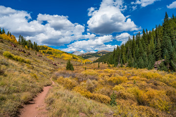 Obraz premium Autumn colours in Cement Creek, Crested Butte, Colorado USA