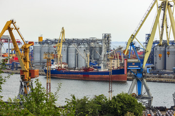 Obraz premium Bulk carrier near the grain terminal in the seaport