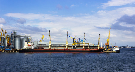 Bulk carrier near the grain terminal in the seaport
