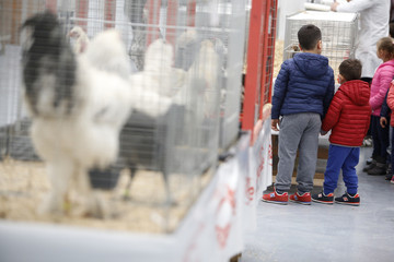 bambini in mostra animali