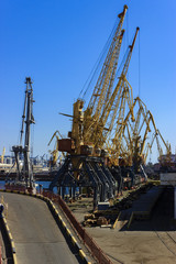 Fototapeta na wymiar Cranes in the cargo port