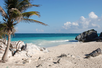 tropical beach with palm trees - tulum on riviera maya in mexico