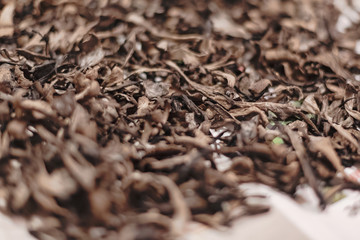 Dryed black trumpet chantarelles prepared for conservation