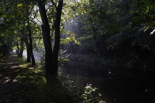 Autumn sunrays shining through trees on the banks of Ripon Canal, North Yorkshire, England, UK