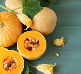 fresh pumpkin on blue wooden background closeup. copy space. top view