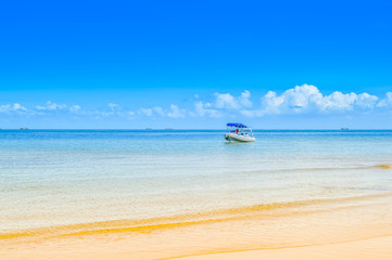 Fototapeta na wymiar Beautiful Portuguese Island beach with turqoise water , Mozambique