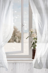 White Roses In Winter Window