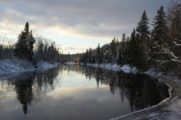 La rivière noir a Sainte-Lucie