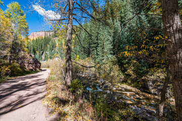 Autumn colours in Cement Creek, Crested Butte, Colorado USA