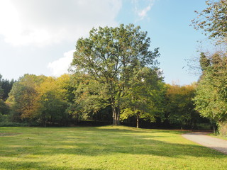 Jägersburger Brückweiher bei Homburg – Jägersburger Weiher - Naturziel im Saarland

