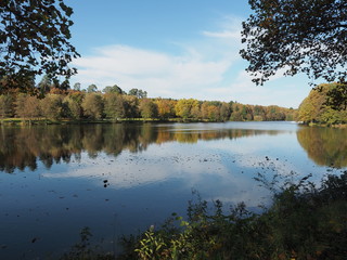 Jägersburger Brückweiher bei Homburg – Jägersburger Weiher - Naturziel im Saarland
