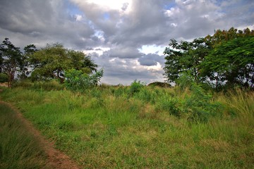 BEAUTIFUL VIEW IN LALBAGH