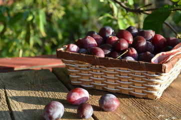 Ripe plums in basket on wooden table on natural background