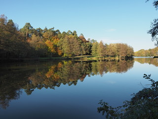 Jägersburger Brückweiher bei Homburg – Jägersburger Weiher - Naturziel im Saarland
