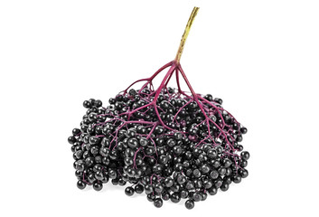 Close-up of bunch black elderberry on a white background