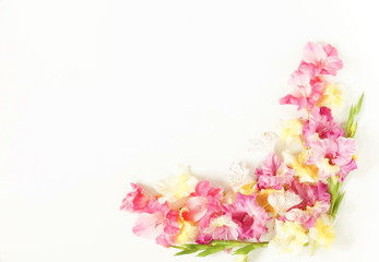Border frame made of pink and yellow gladioluses on white background. Pattern of gladioli, holiday greeting card. Flat lay, top view. Flowers background. Frame of flowers. Copy space