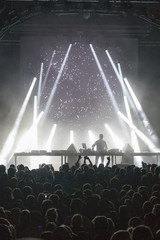 crowd at concert
