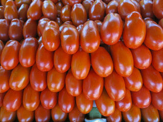 Tomate IMG_5640