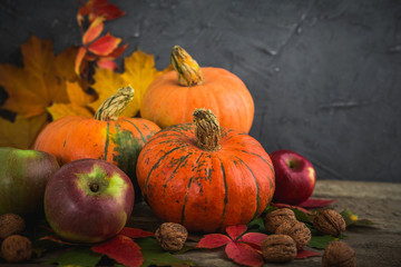 Autumn harvest of pumpkins, apples, nuts on a wooden background Autumn natural background with multi-colored oak leaves and copy space in rustic style