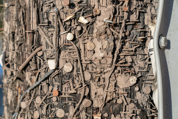 Close up of wood with staples and nails