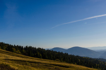 Fototapeta premium Carpathian mountains in sunny day in the autumn season