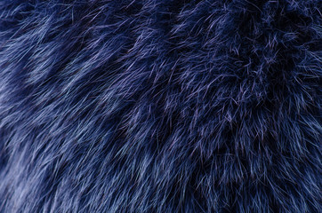 Blue fur macro texture material fashion fabric blur background