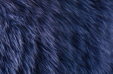 Blue fur macro texture material fashion fabric blur background