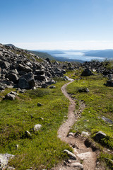 Fototapeta na wymiar hiking trail between Pårte and Aktse in northern sweden