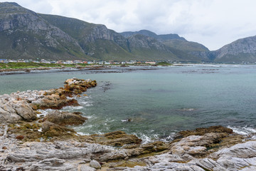 betty´s bay south africa wild coast 