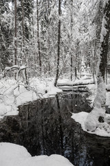 river in winter - tyresta np