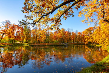Golden autumn (fall) in Alexander park, Tsarskoe Selo (Pushkin) Saint Petersburg, Russia