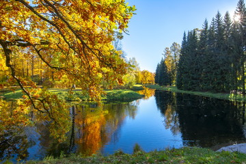 Fototapeta na wymiar Catherine park in autumn, Tsarskoe Selo (Pushkin), Saint Petersburg, Russia