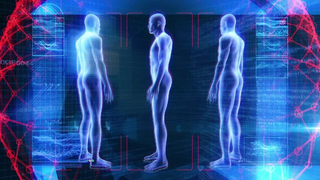 Human Male Anatomy 3D Animation Biology Science Technology