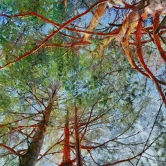 Handzeichnung Aquarellkunst auf Leinwand. Künstlerischer Großdruck. Ursprüngliche moderne Malerei. Acryl trockener Pinselhintergrund. Schöne Waldlandschaft. Wunderbare Reiseansicht. Charmantes Resort. © Pavel