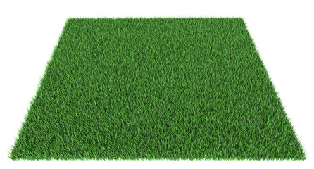 Bright green lawn on a white background. 3d illustration