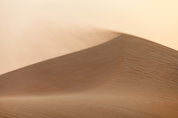 Fototapeta na wymiar Wind blowing the sand in the desert in UAE