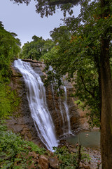 Obraz premium Waterfall in the Forest