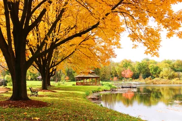 Keuken spatwand met foto Midwest natuur achtergrond met uitzicht op het park. Prachtig herfstlandschap met kleurrijke bomen rond de vijver en houten prieel in een stadspark. Lakeview-park, Middleton, Madison-gebied, WI, VS. © Maryna