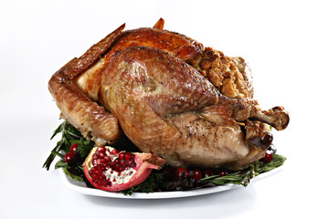 Roast turkey isolated on white background, shallow focus