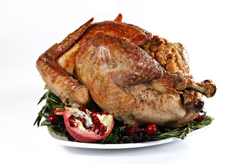 Roast turkey isolated on white background, shallow focus
