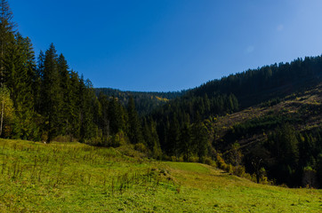 Carpathian mountains in sunny day in the autumn season